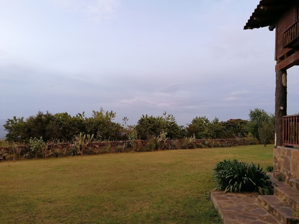Photo 28