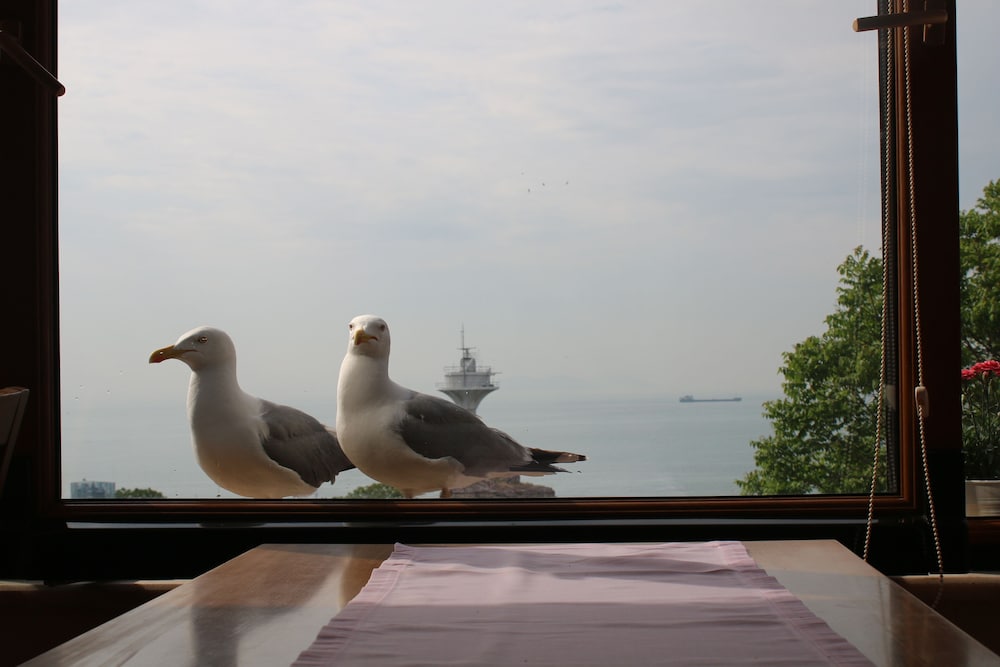 Emine Sultan Otel - Image 9