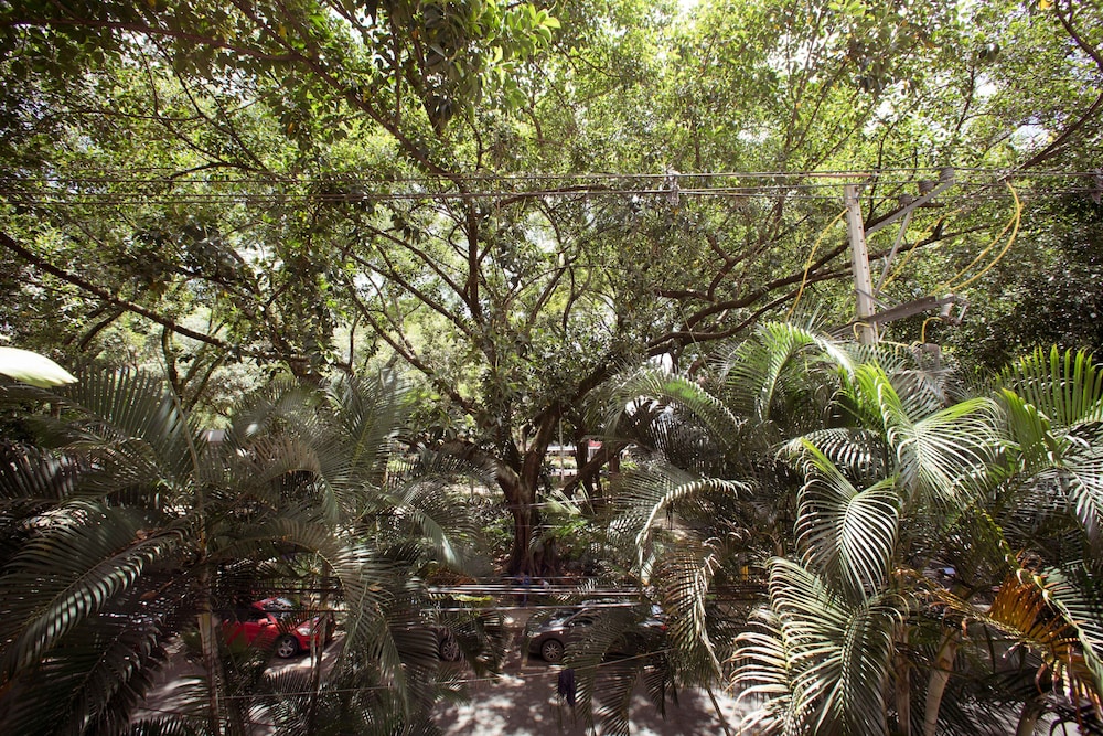 Hojarasca by Wynwood House