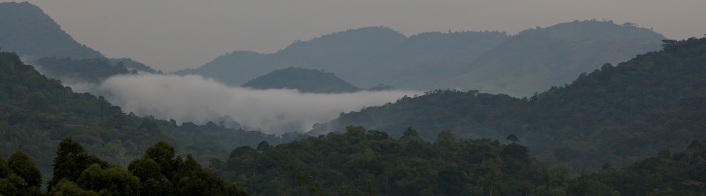 Silverback Lodge