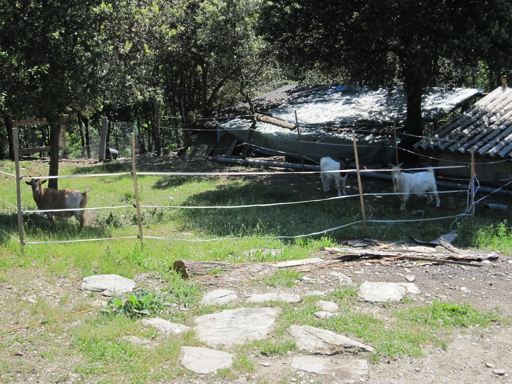 Photo 27