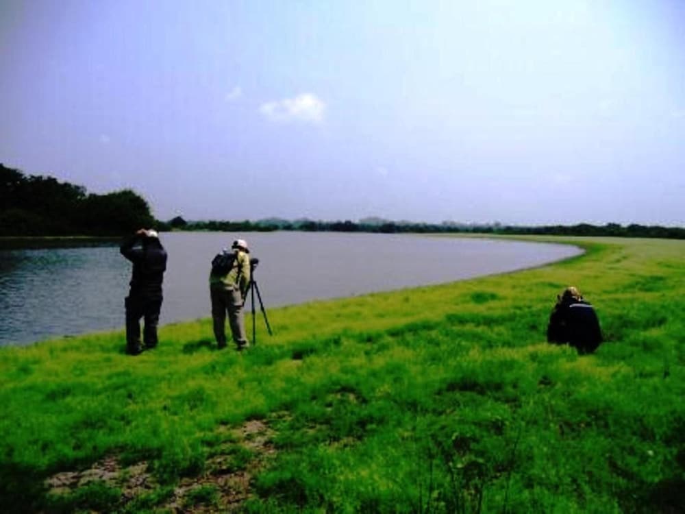 Photo 50