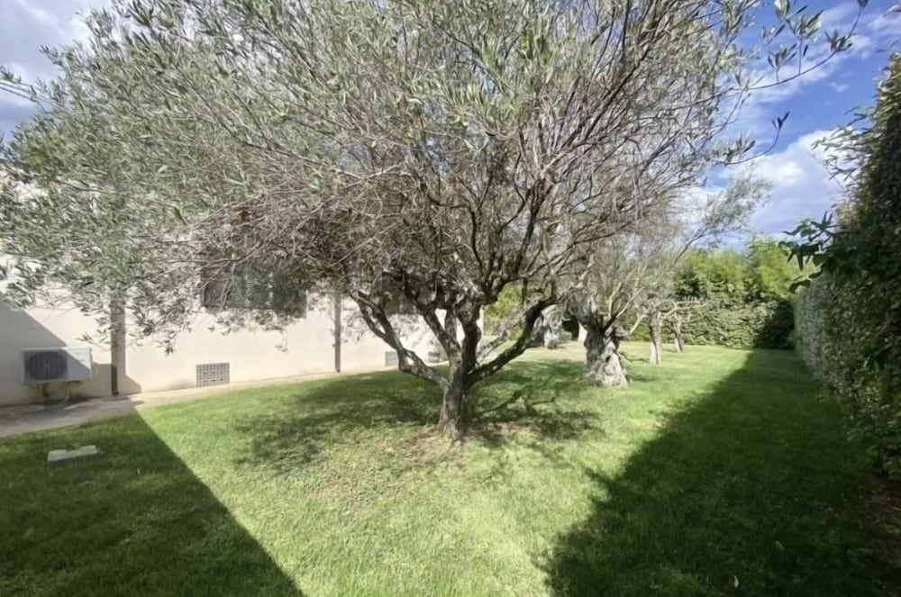 Photo 26
