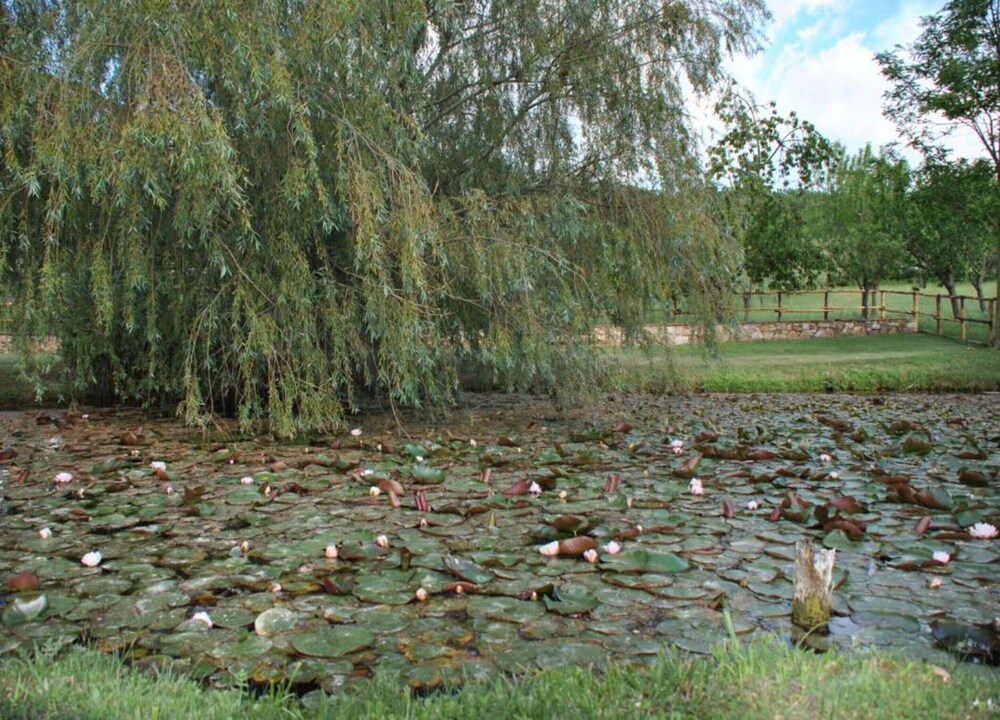 Photo 26