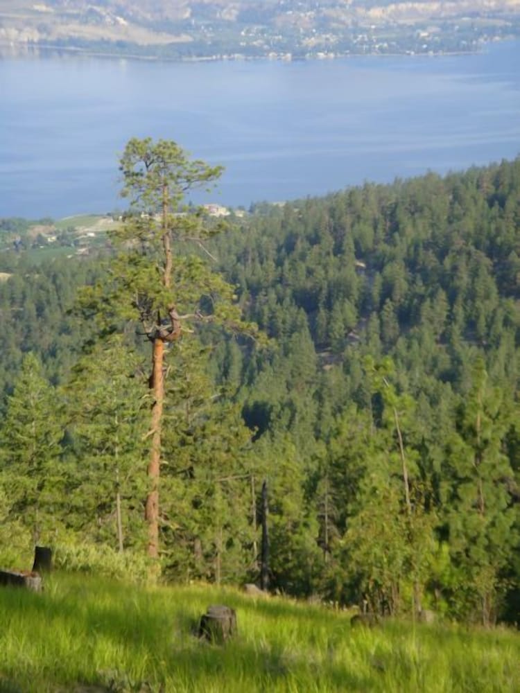 Crooked Tree Guest Suites