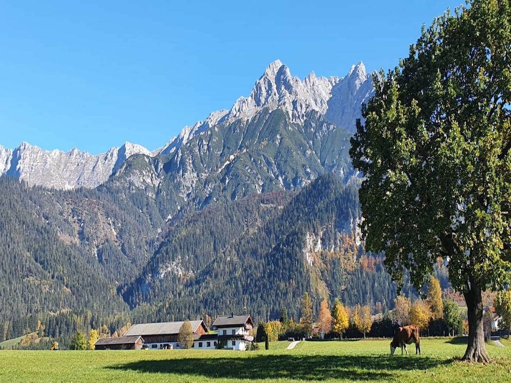 Apartment in Saalfelden Near Ski Slopes