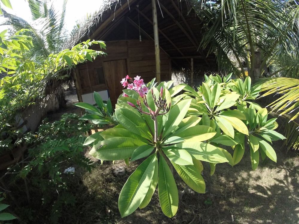 Safasurf Camp - Hostel