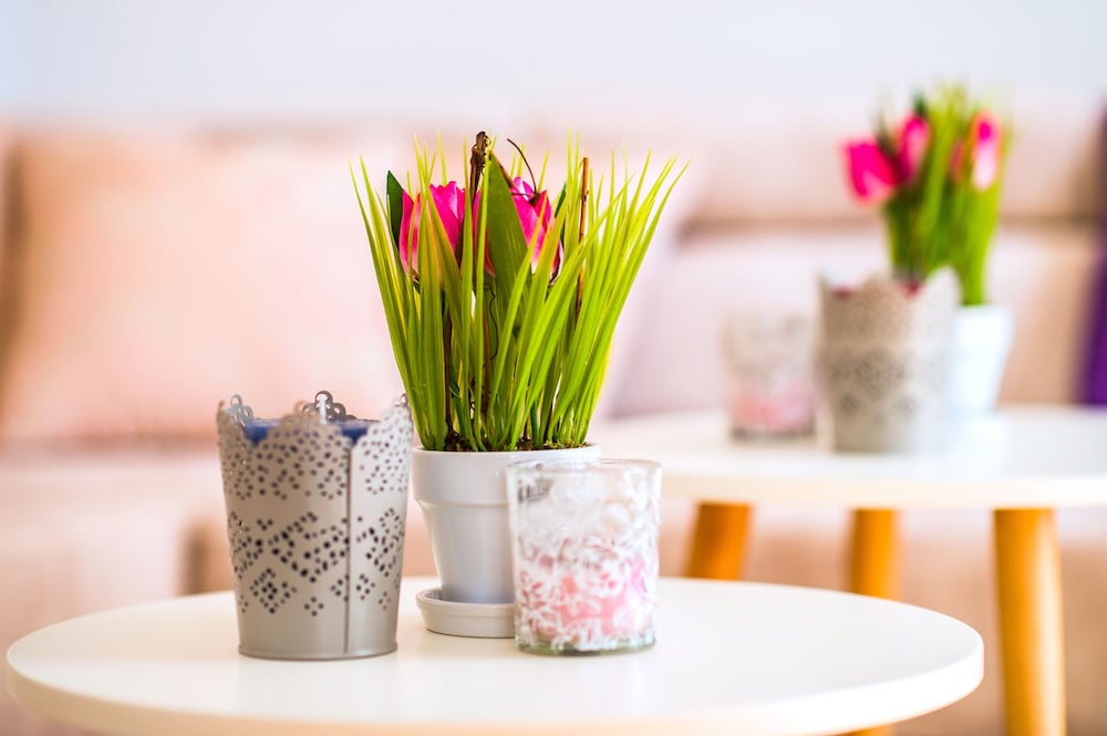 L U X E Bacvice Collection en Split — lounge