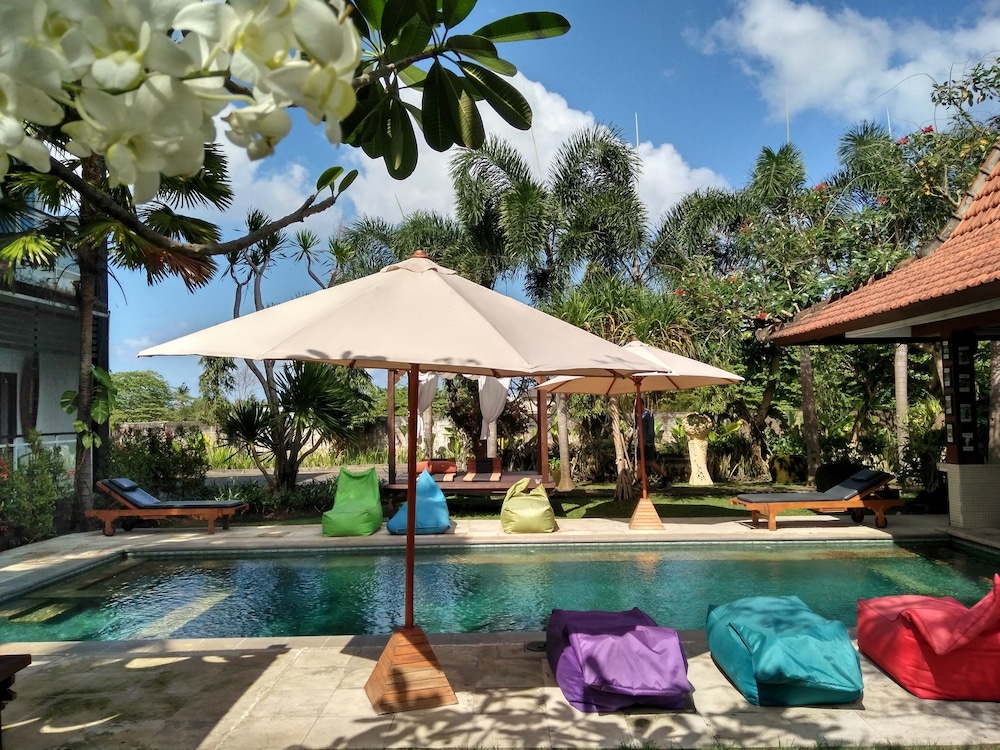 Premier Surf Camp - Image 2