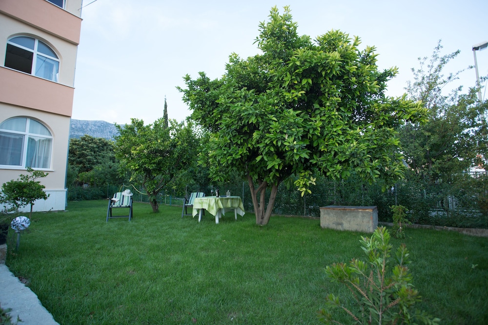 Photo 37