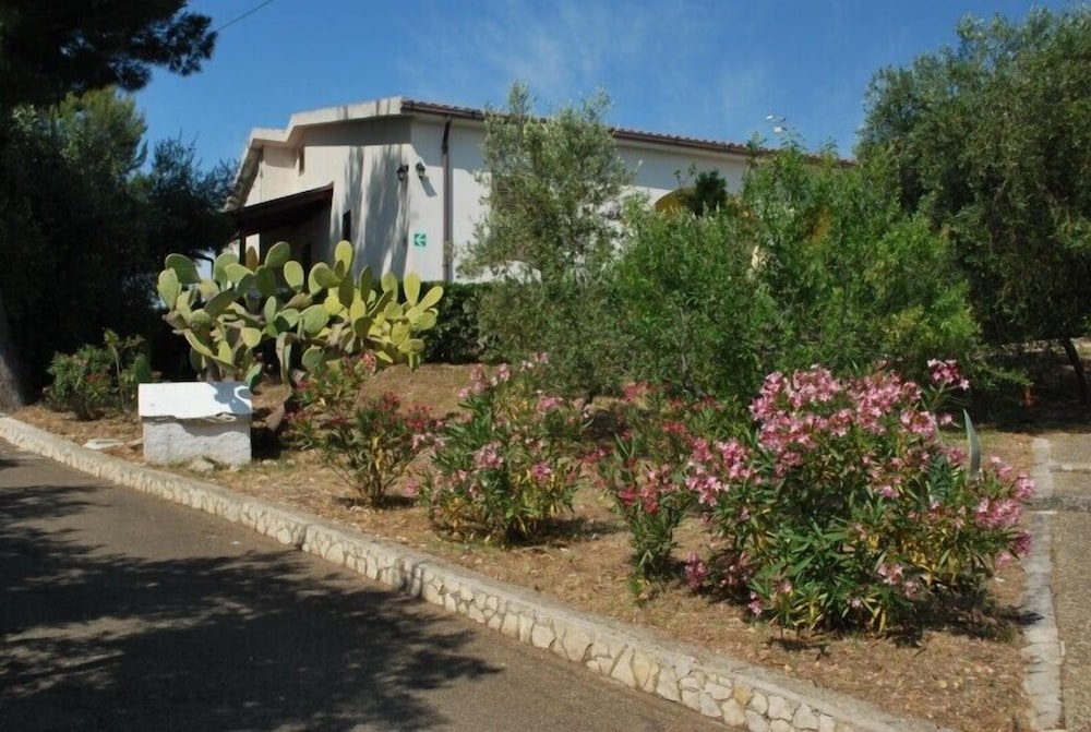 Photo 44