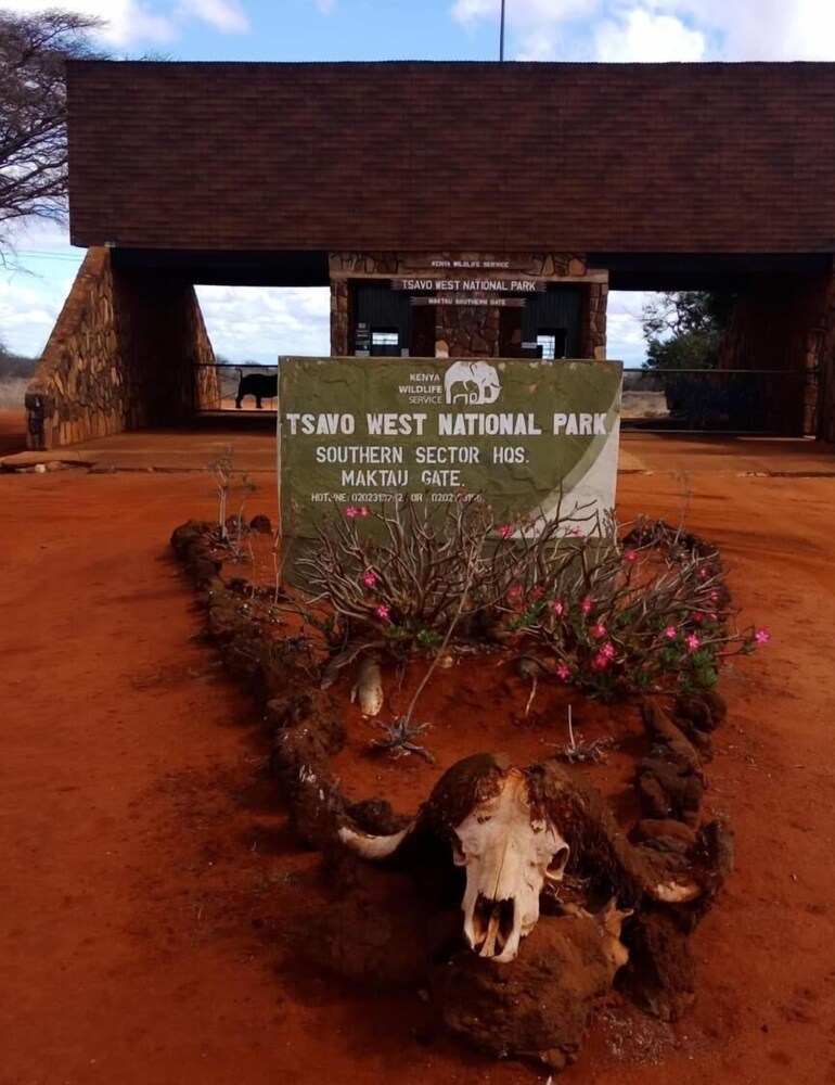 Lake Jipe Safari Camp
