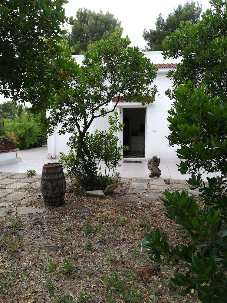 Photo 53