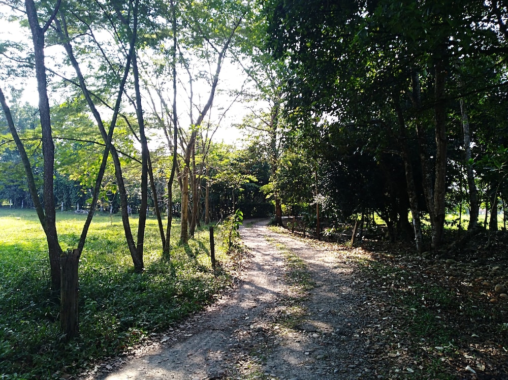 Photo 37