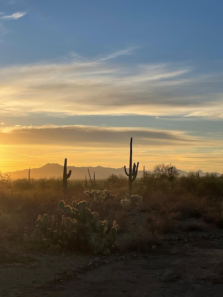 SaguaroGlamp