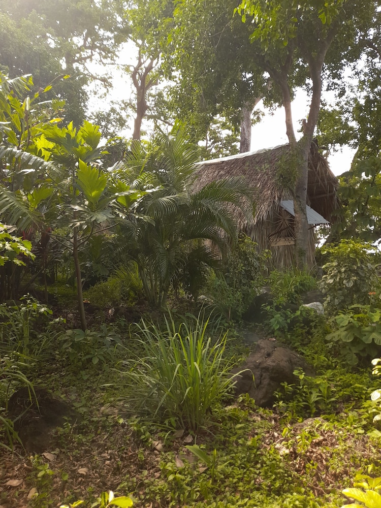 Cabañas El Bamboo