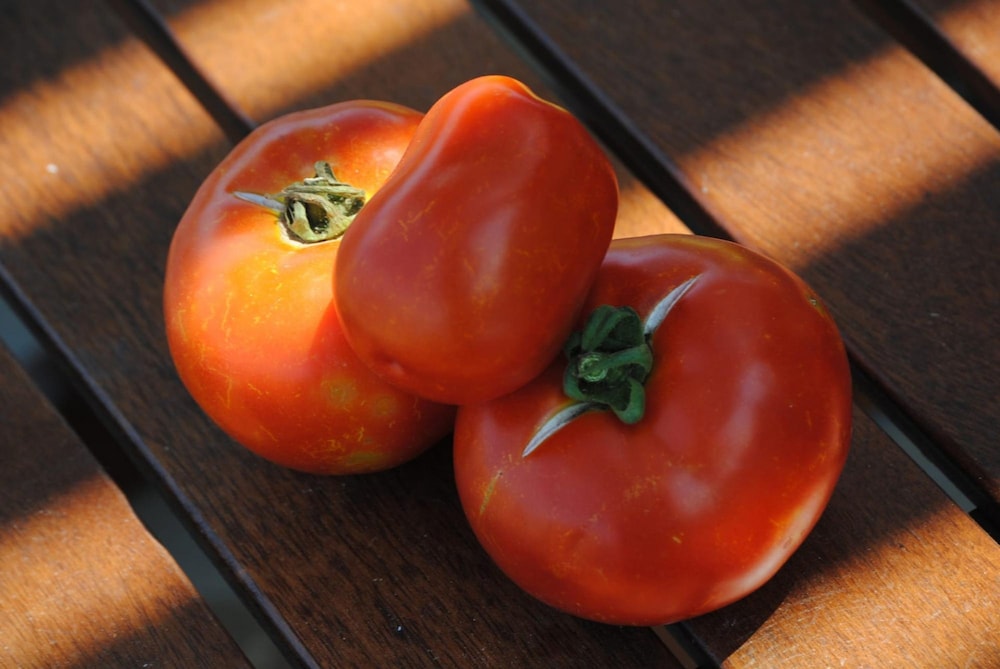 Agios Nikolaos Vacations - Elounda Solfez Villas - Property Image 17