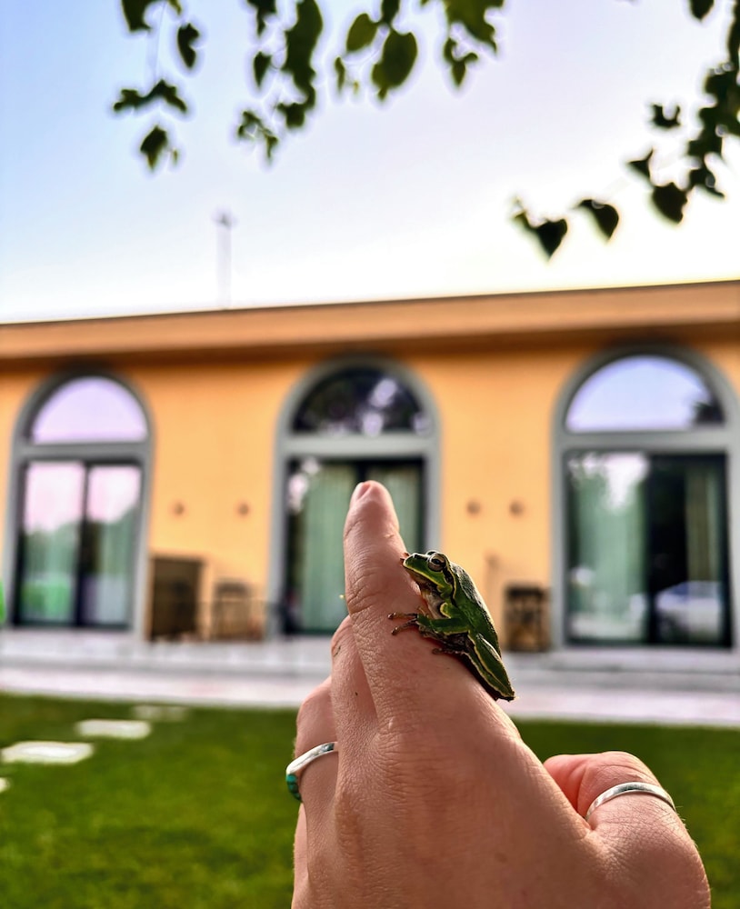 Vila Shehu