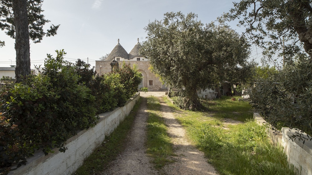 Photo 29