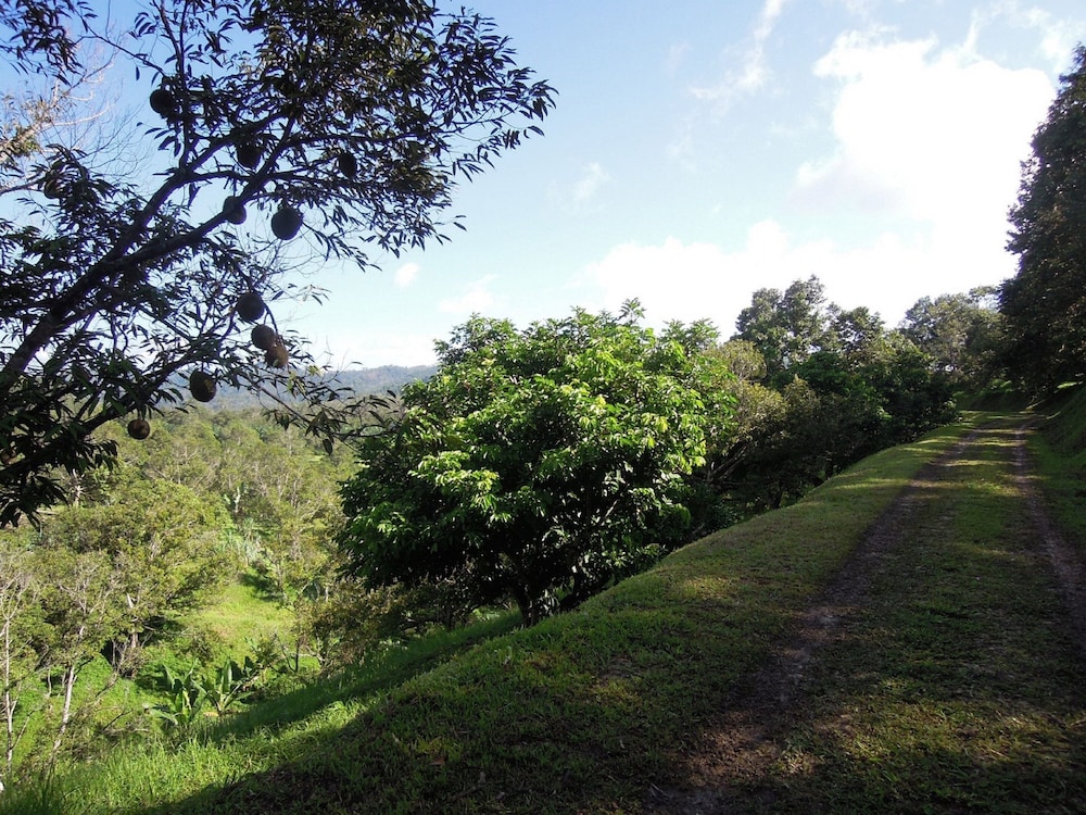 Tanah Aina Farouq photo 4