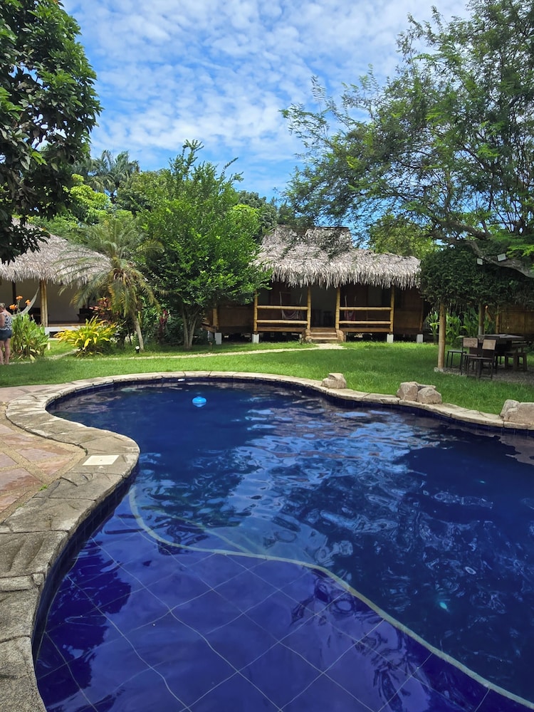 Palms Oasis Montanita