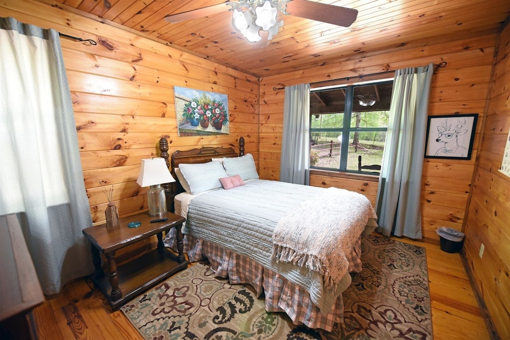 Knotty Pony Cabin- Blue Ridge view 2