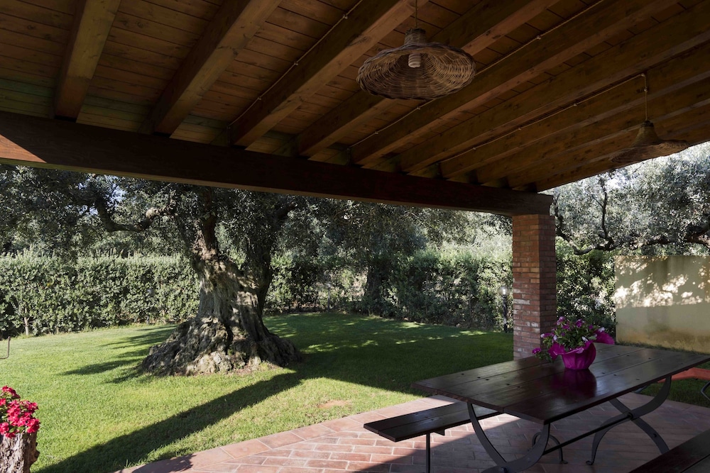 House Surrounded by Olive Trees photo 4