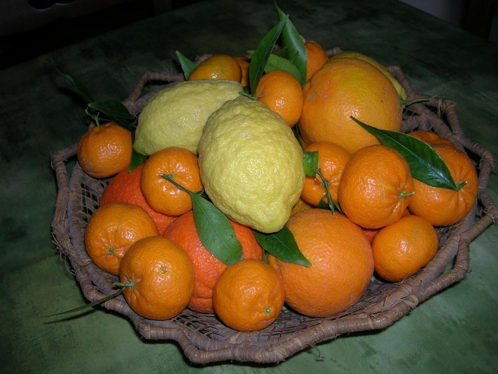 Agriturismo Baglio Donna Santa, Billede 30