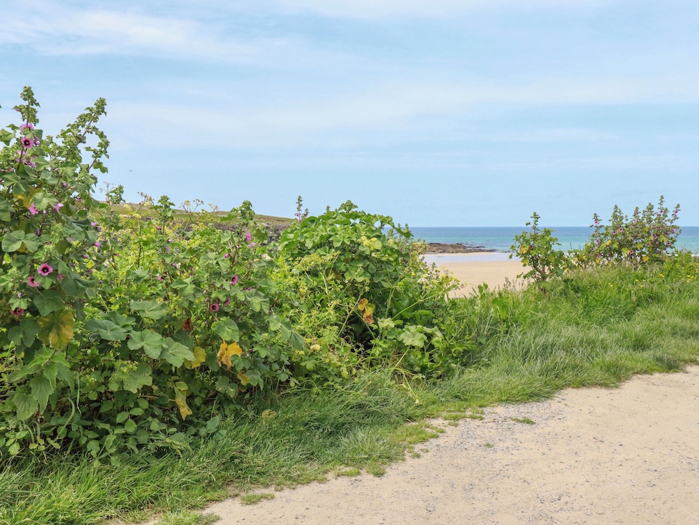 Pepper Cove