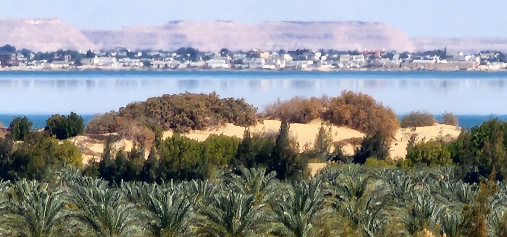 Beit Dina