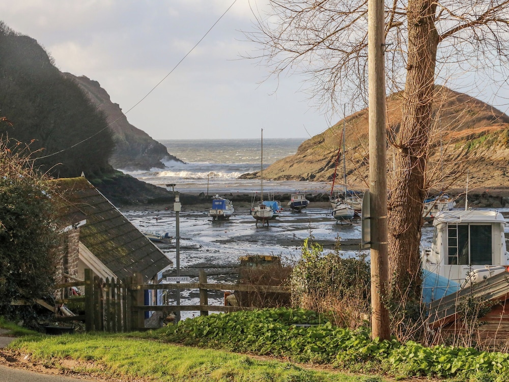 Cove View
