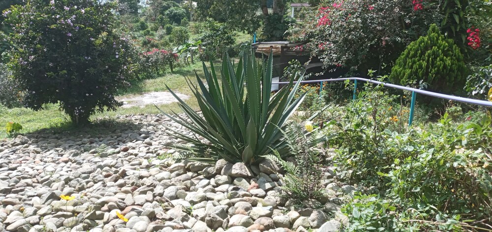 Photo 48