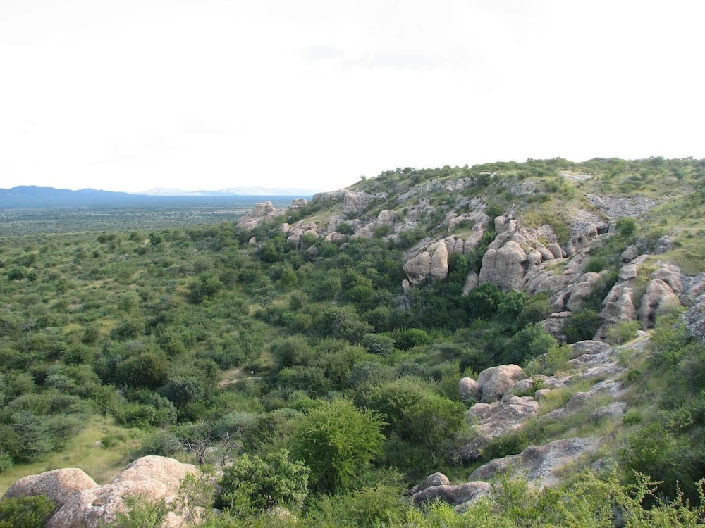 Sasa Safari Camp