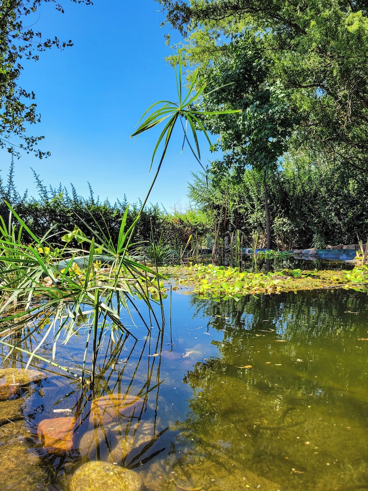 Finca La Saucina