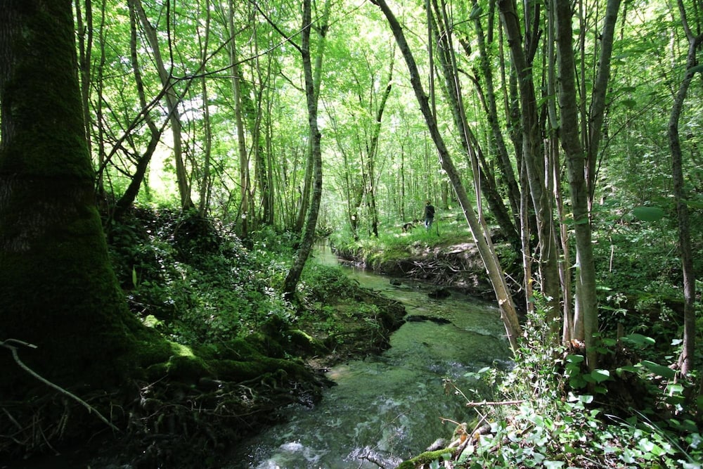 Chambre d'Hôtes Cugnac