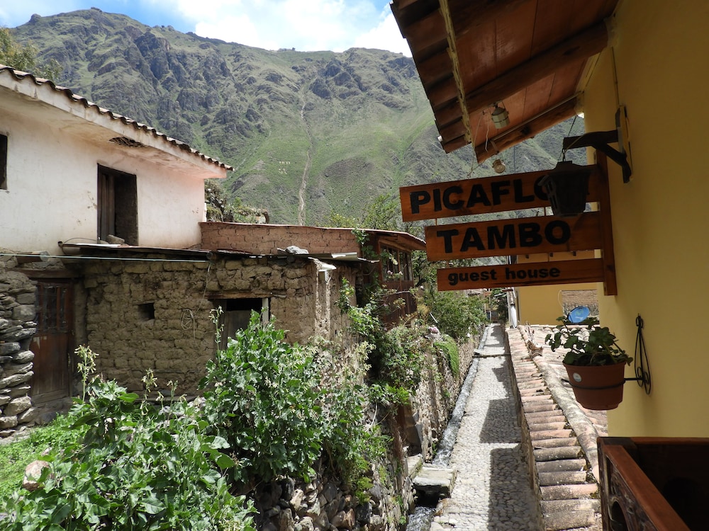B&B Picaflor Tambo