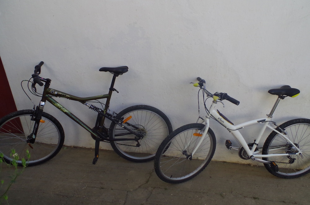 Photo 48