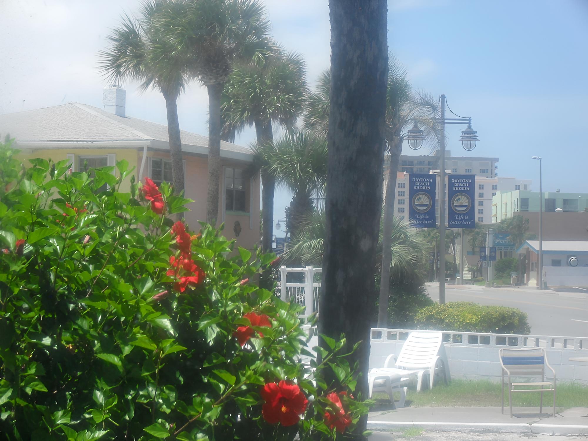 Shore Winds Motel