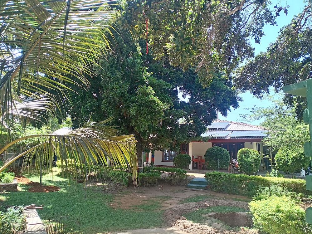 Yala Treetop Lake