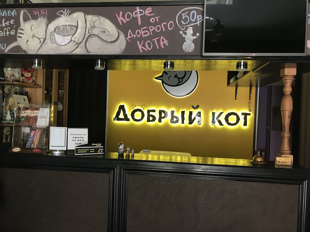 Good Cat - Hostel