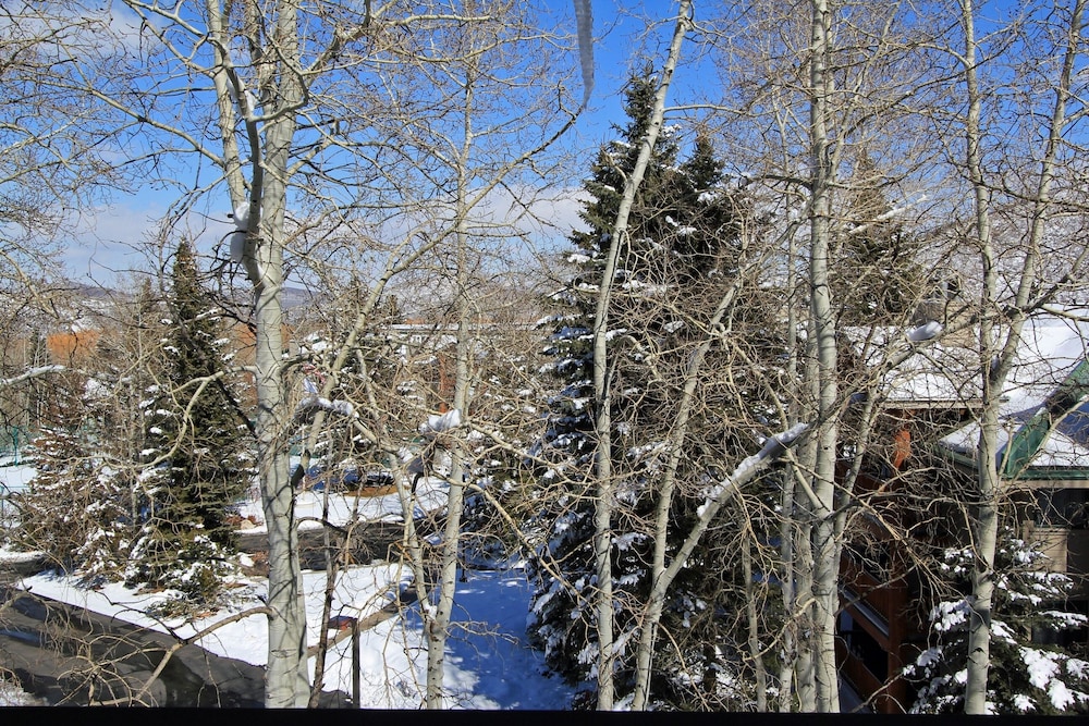 Park City Ski Resort UT - Snow Flower Vacation Homes