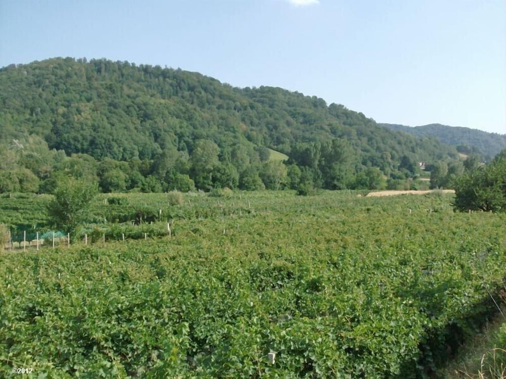 Agriturismo Al Vecchio Portico