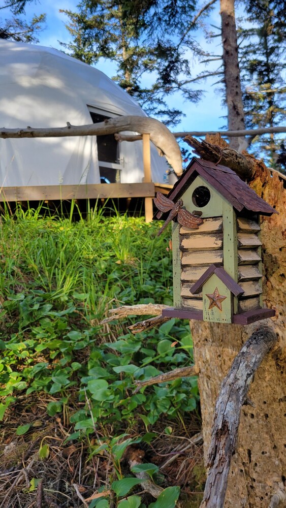 Haida Gwaii Glamping Co.