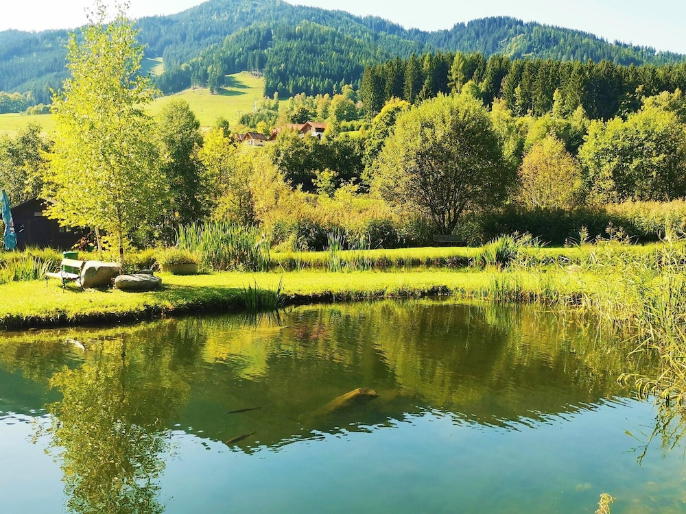 Chalet in Gaal by Ski Slopes & Bathing Pond