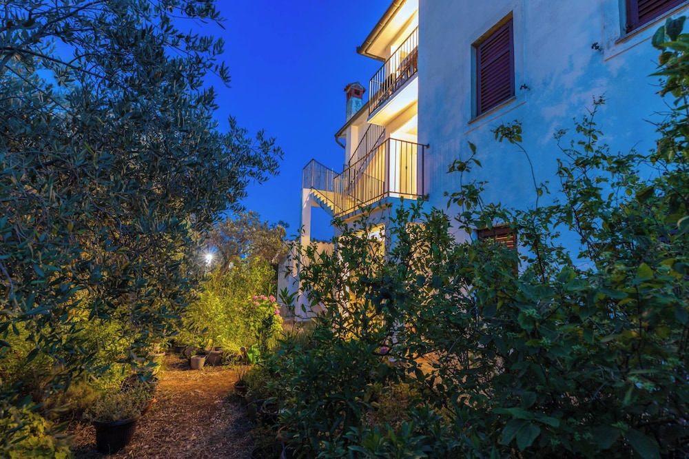 Apartments Amalia