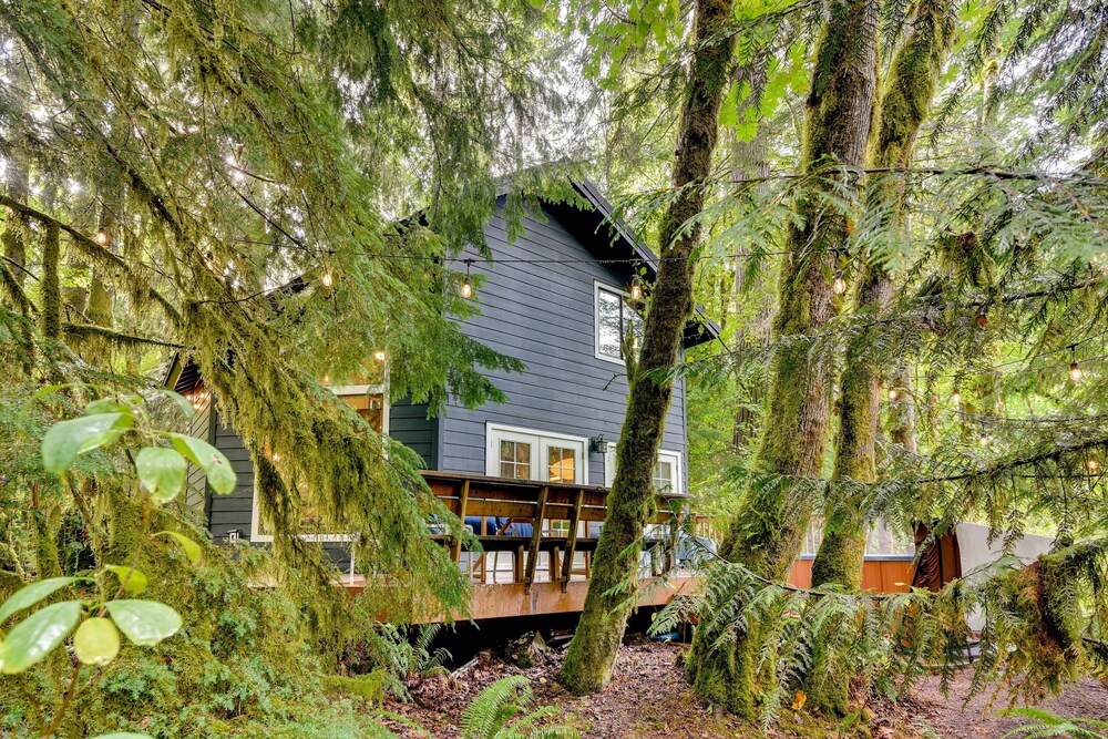 Rhododendron Creekside Cabin w/ Hot Tub & Fire Pit view 3