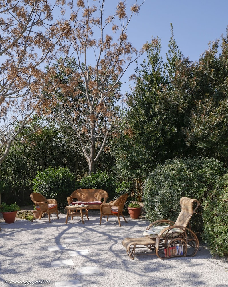 Tenuta il Grifo view 5