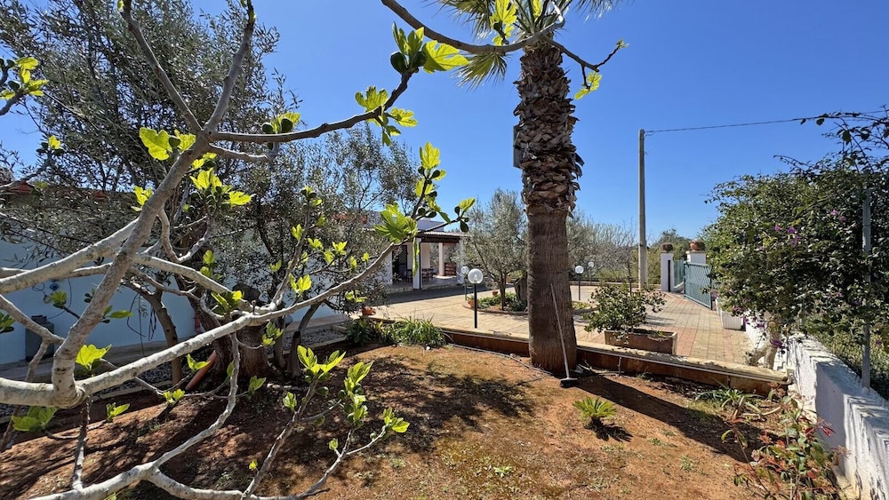Villa Ulivo Sleeps 7 Garden Close to the sea