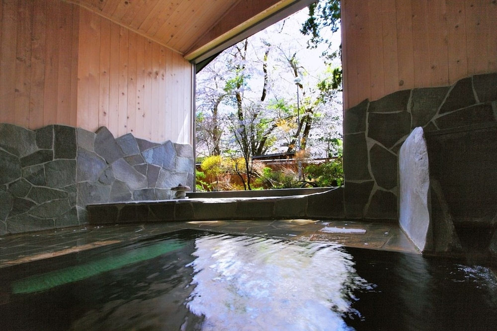 Echigo Tanaka Onsen Shinanosou