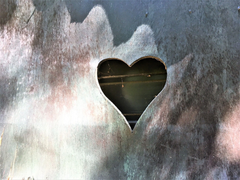Photo 44